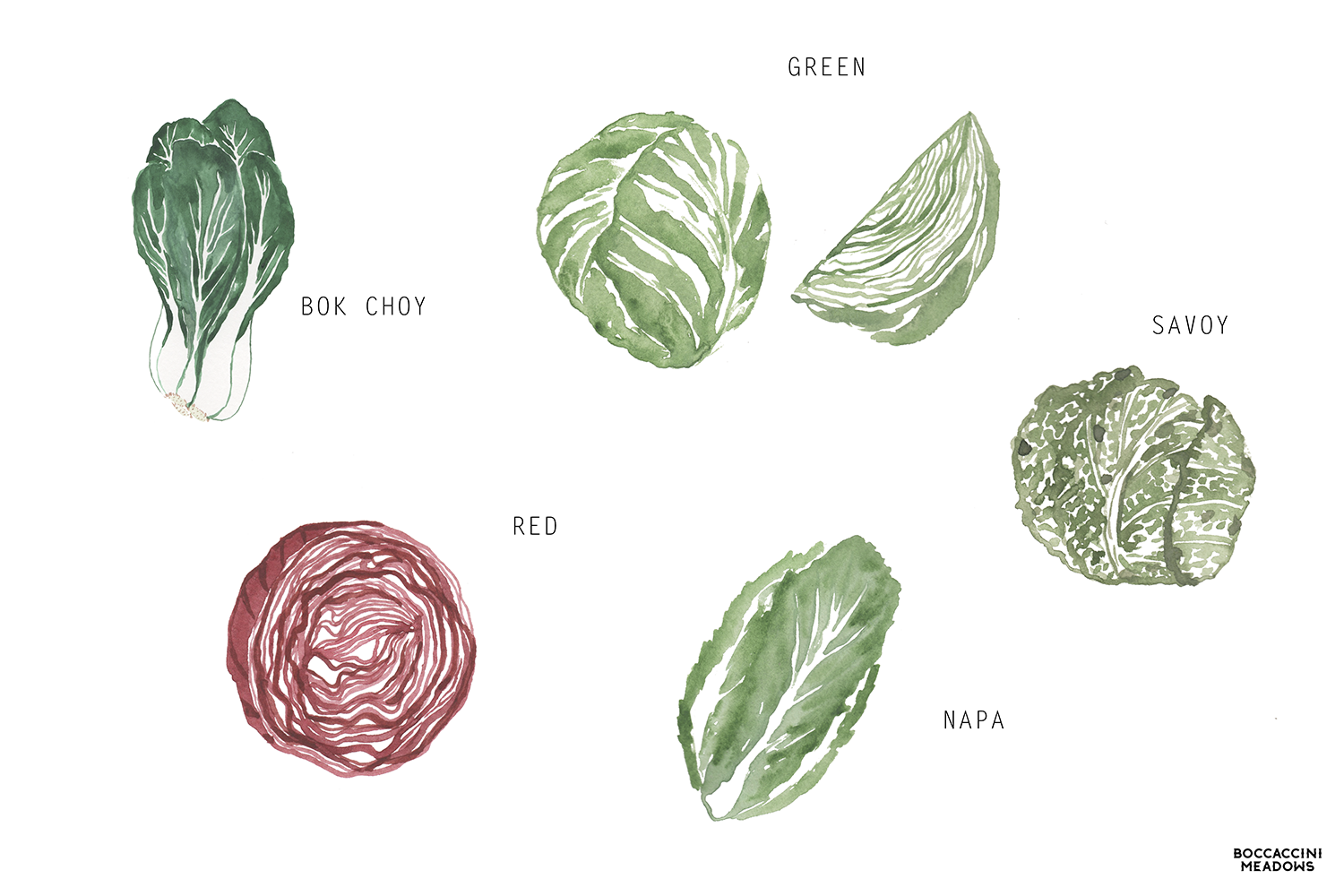 Cabbage Patch Table In the Cabbage Patch - Sunbasket