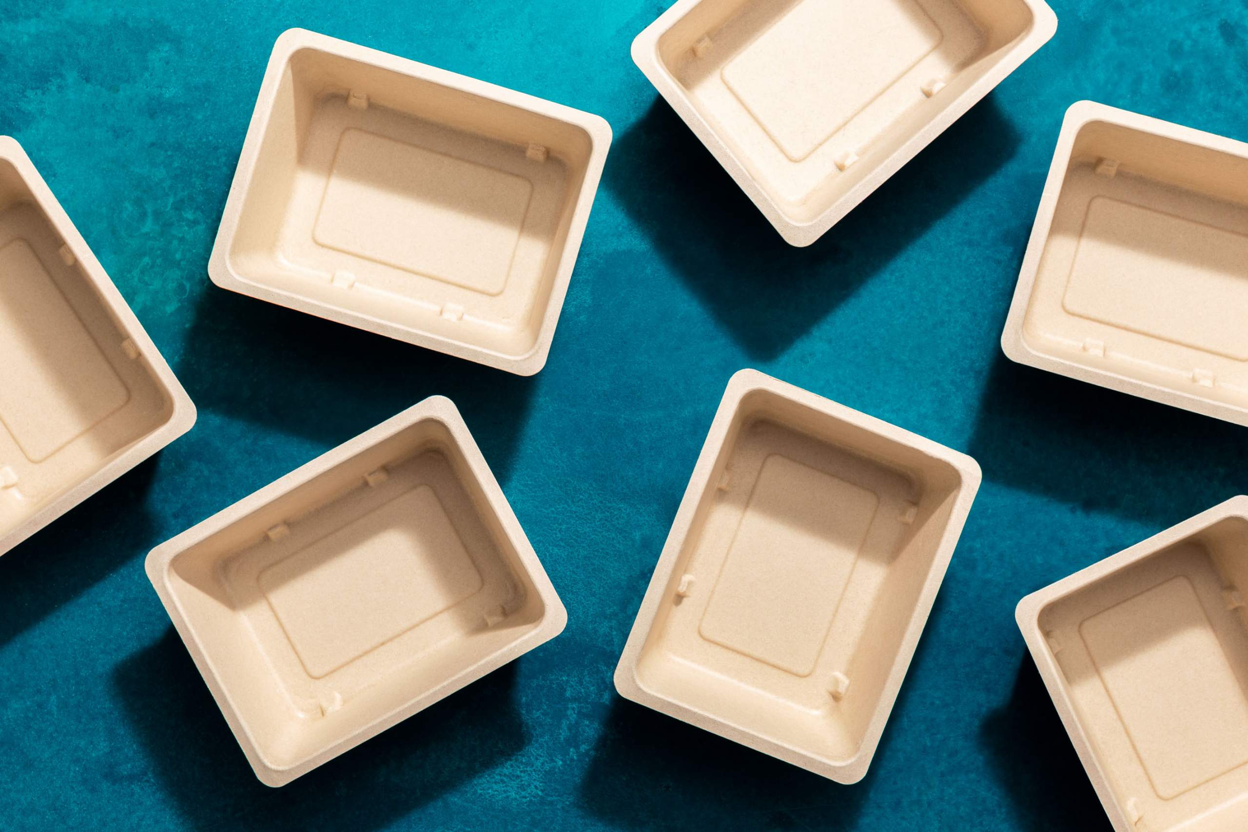 Compostable Food Container-Disposable Food Box-Go-Compost