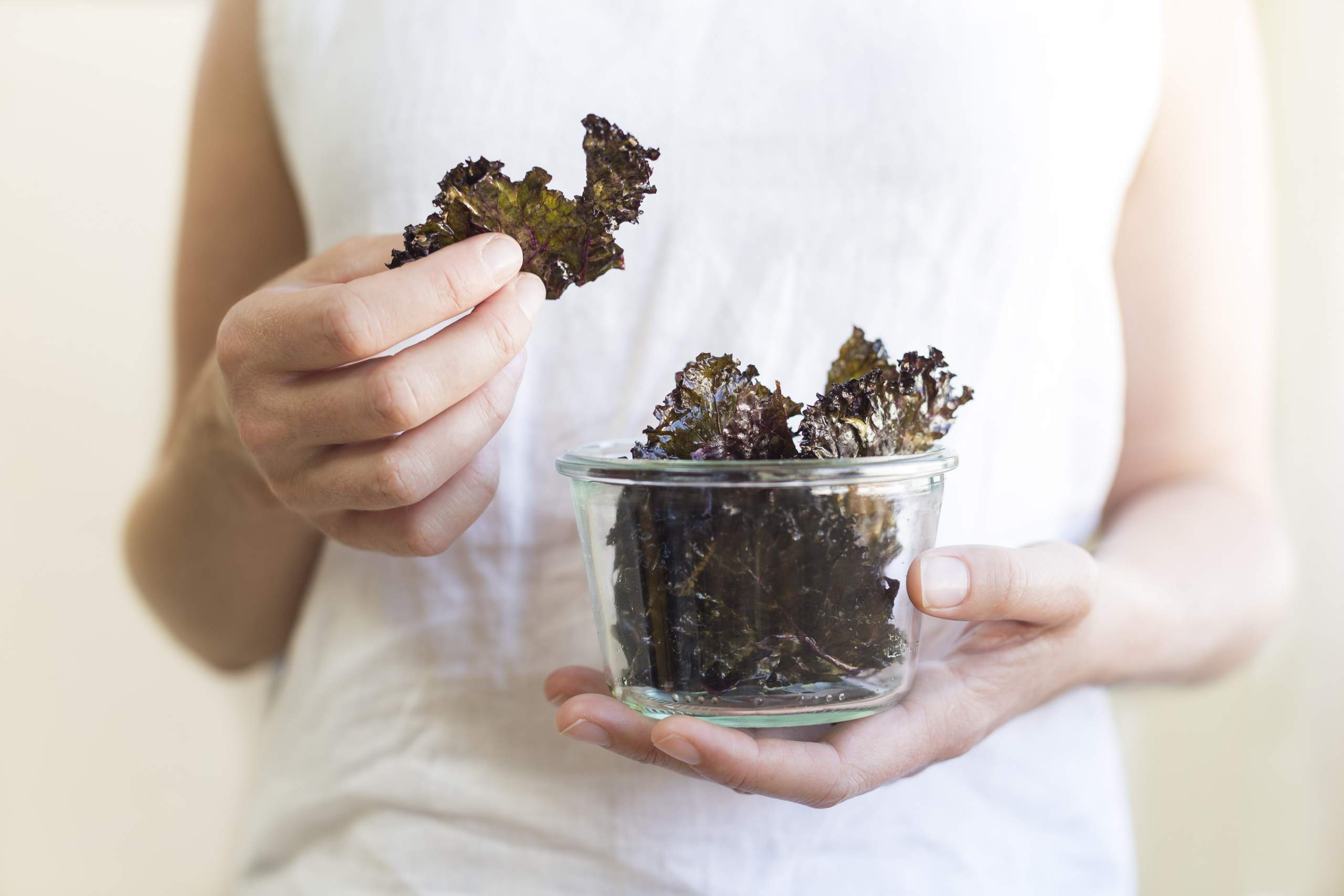 back to basics kale chips